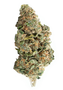 Locker Room HEAVY WEIGHT Indica - 28G