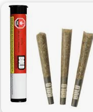 Bold ORANGE CRUSH Sativa - PR3X0.5G