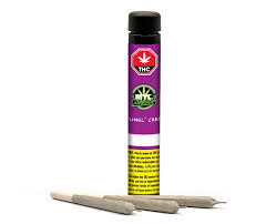 MTL Cannabis JUNGL' CAKE Sativa - PR3X0.5G