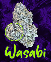Bud and Nectar WASABI Hybrid - 3.5G