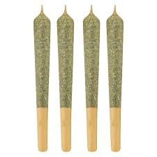 Bud Boys GAS STATION Hybrid - PR4X0.7G